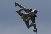600IMG_6231