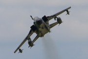 600IMG_6249