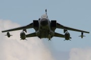 600IMG_6261