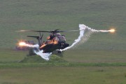 700IMG_5704