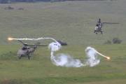 700IMG_5806