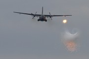 800IMG_5931