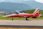 241IMG_7116