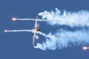250IMG_0412
