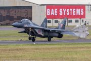 441IW5A5593