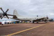 907IMG_7029