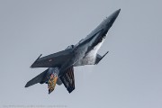 201JH3A5418