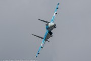 560JH3A4617