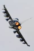 100IMG_4957