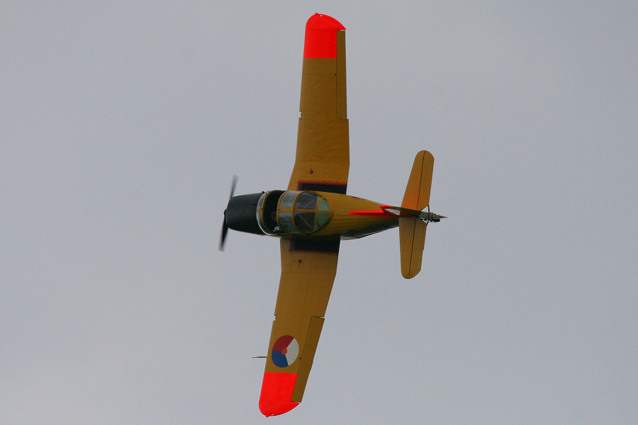 100IMG_6542