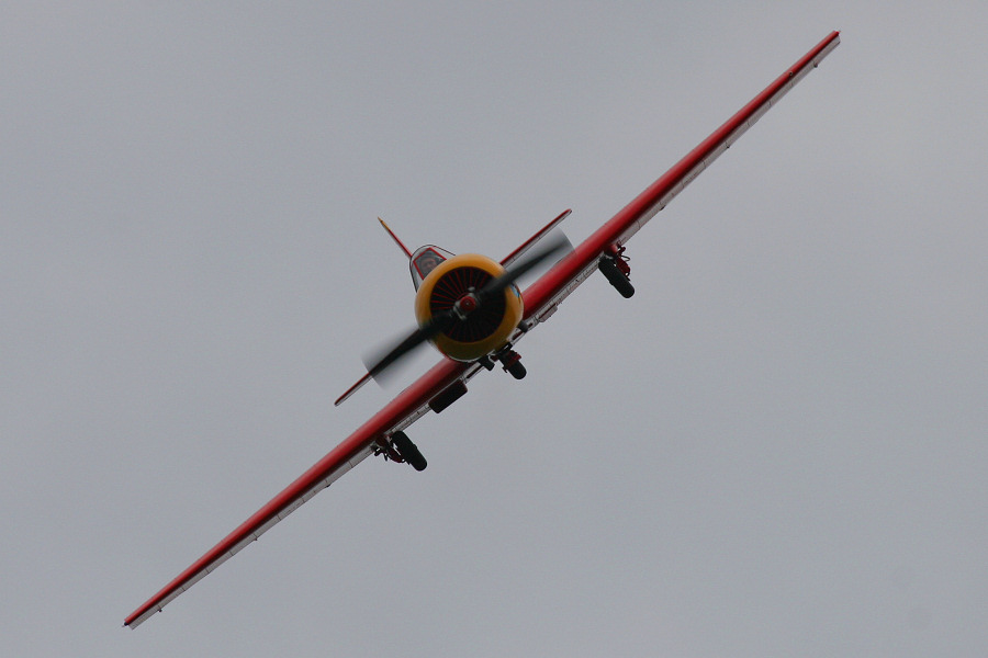 380IMG_6765