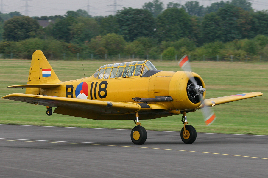 500IMG_7048