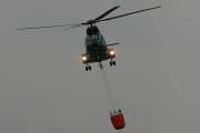 340IMG_6642