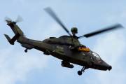 tiger-1-IMG_1063