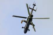 tiger-3-IMG_9798