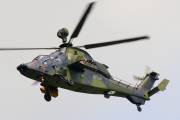 tiger-4-IMG_9808