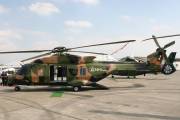zstat-28-IMG_9448