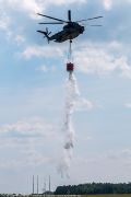 141IMG_6474