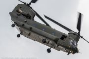 601IW5A7385