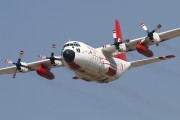 061IMG_1504