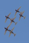 106IMG_4251