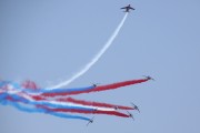 242IMG_3696