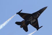 302IMG_5046