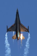 320IMG_3854