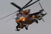 060IMG_5886