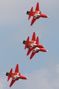382IMG_6448