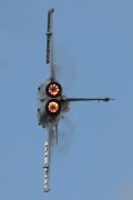 480IMG_8865