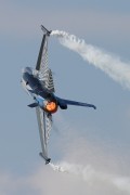 541IMG_9217
