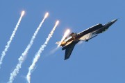 541IMG_9273