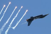 541IMG_9275