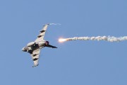 601IMG_7236