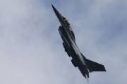 105IMG_4398