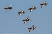 302IMG_7609