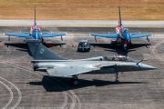 384IMG_0668
