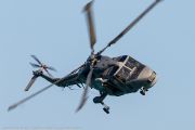 547IMG_9766