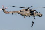 554IMG_9816