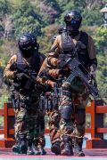 572IMG_7255