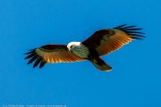 760IMG_7877