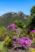 840IMG_4285