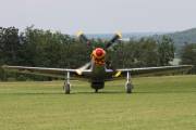 217IMG_3497