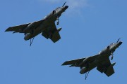 141IMG_4271