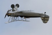 080IMG_5481