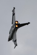 540IMG_6874