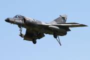 081IMG_7734