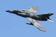 081IMG_7760