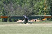 263IMG_8539